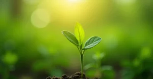 Rak: Objawy, Diagnostyka, Leczenie i Wsparcie dla Pacjentów